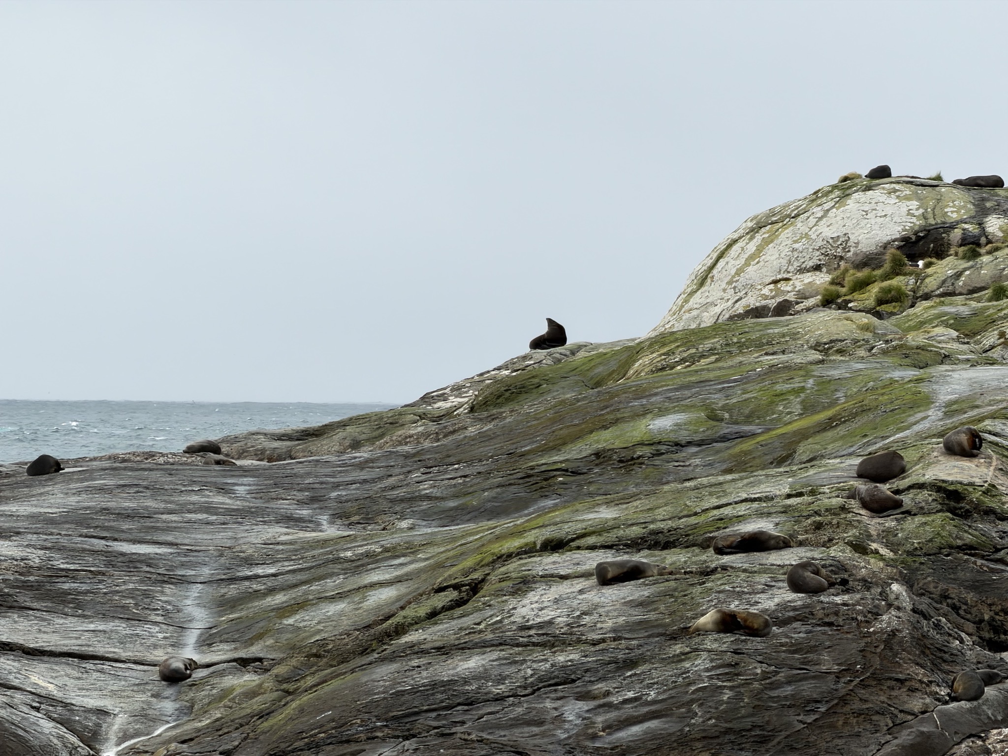 Seals
