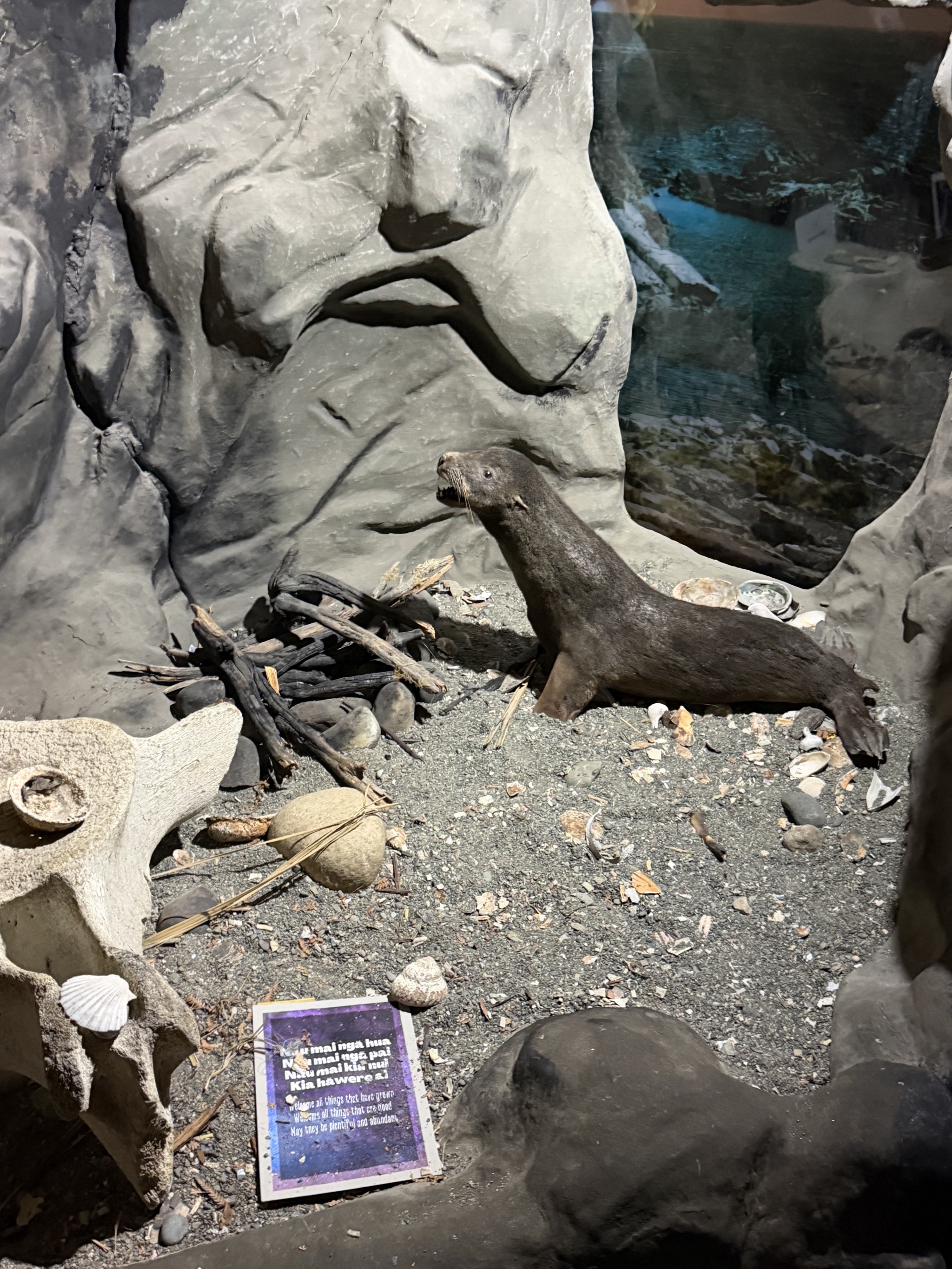 Fiordland National Park visitor centre