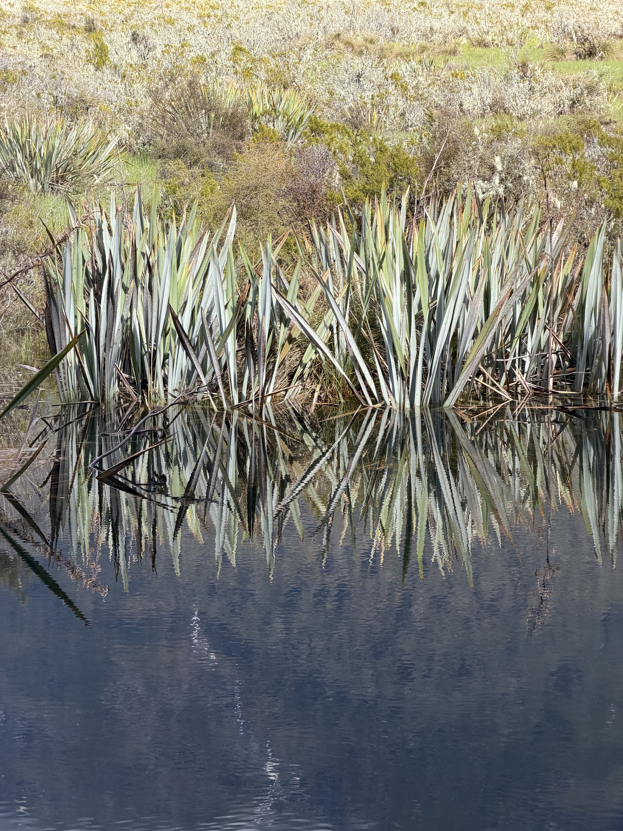 Mirror Lakes