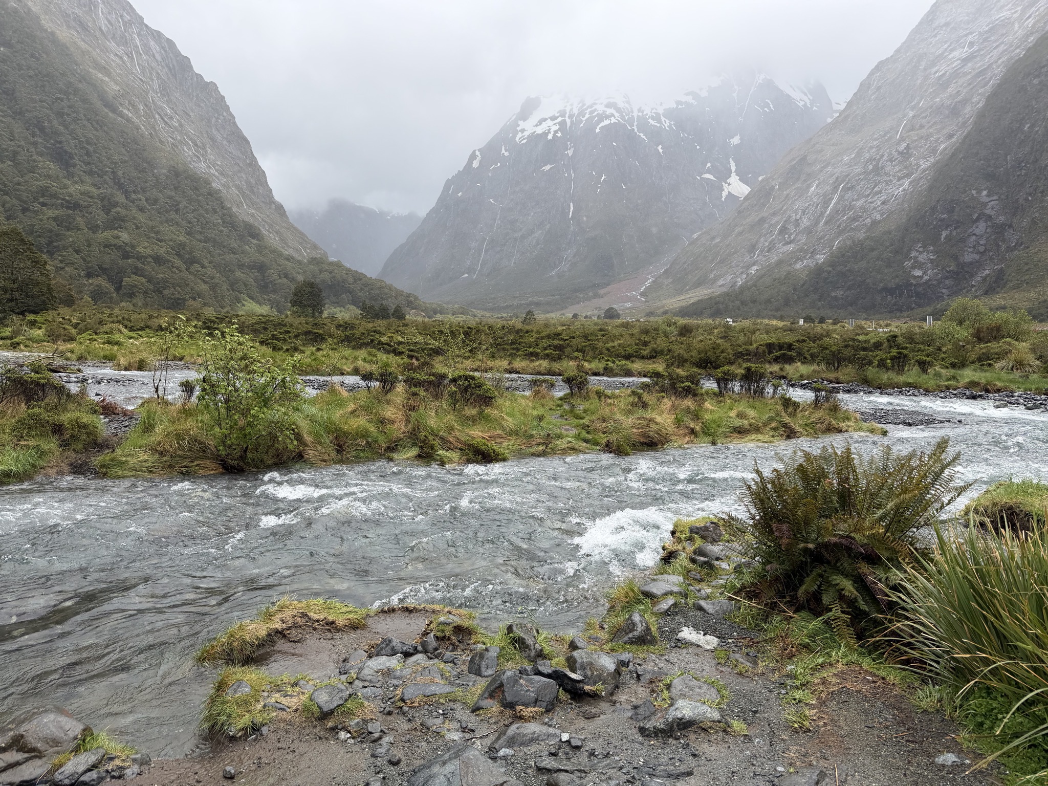 Monkey Creek
