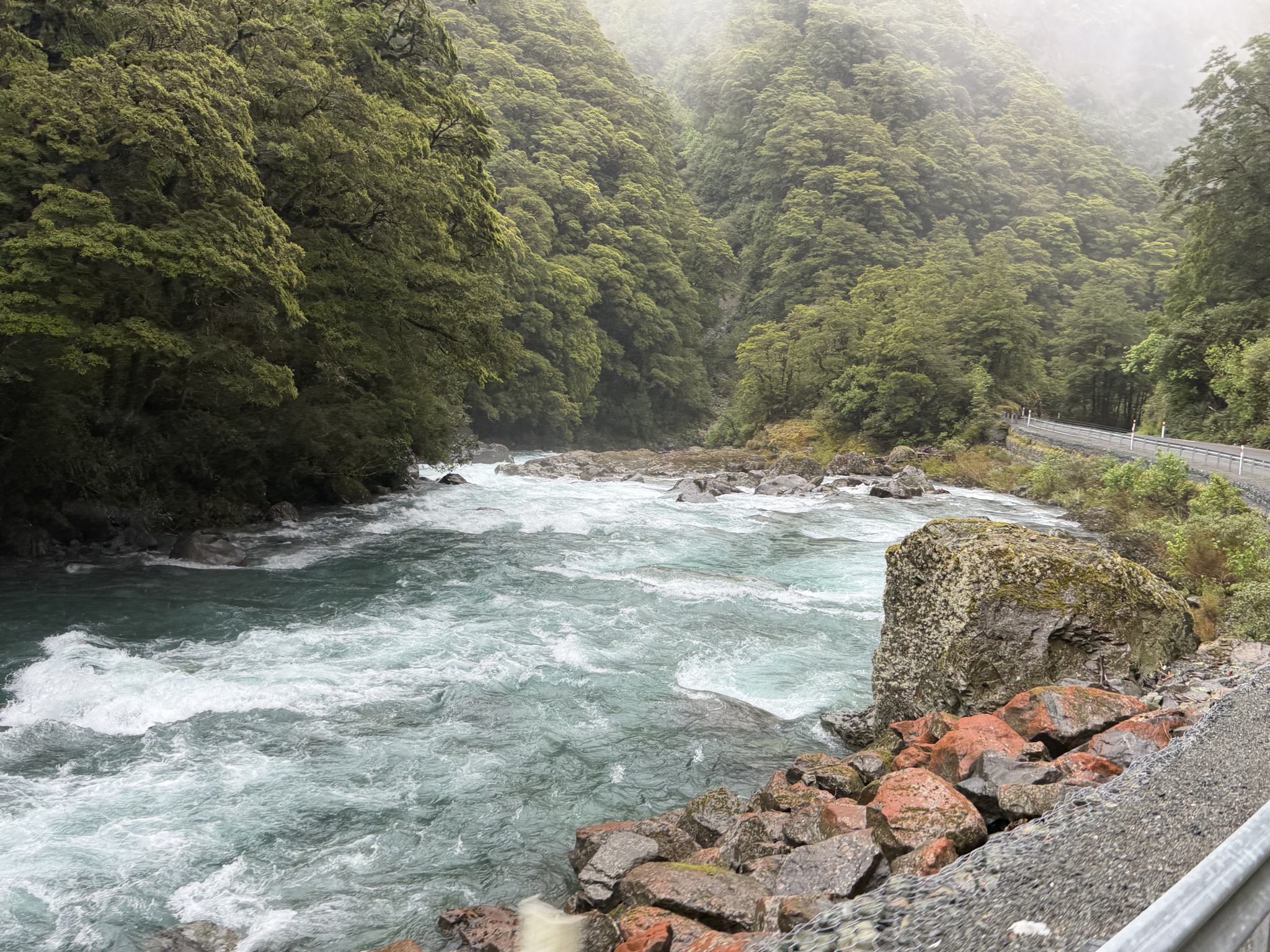 Hollyford River