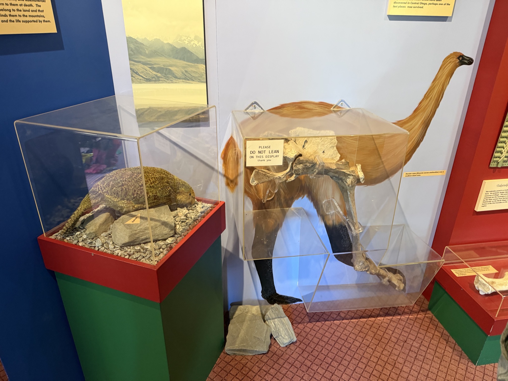 Mount Aspiring National Park Visitor Centre
