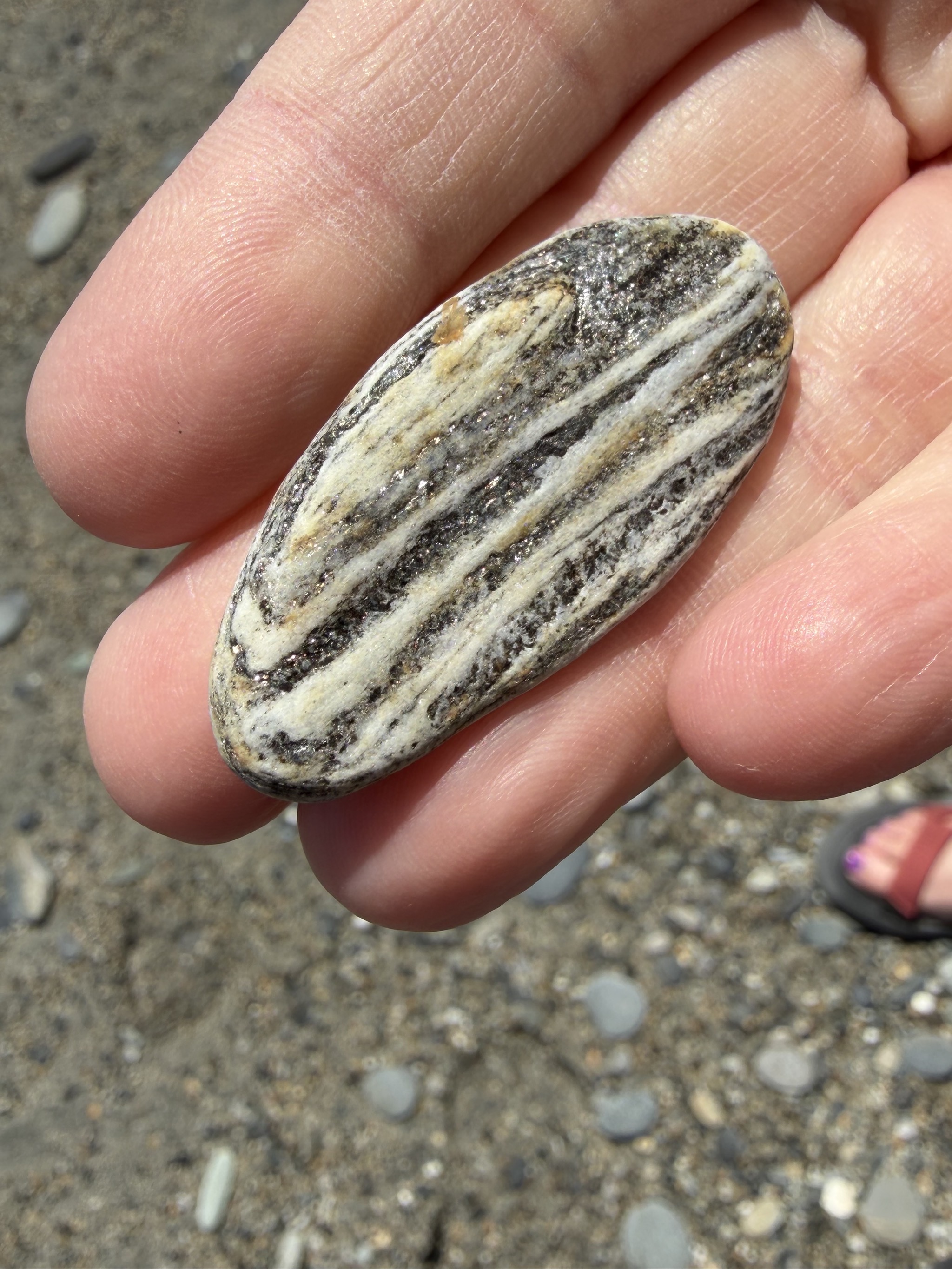 Ship Creek rock
