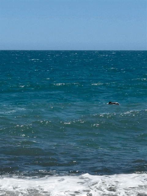 Ship Creek beach