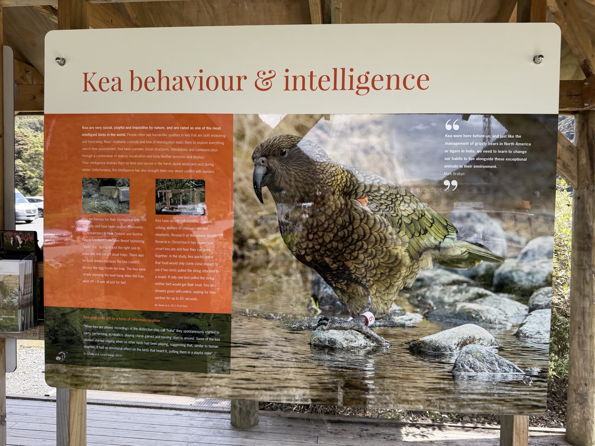 Kea info