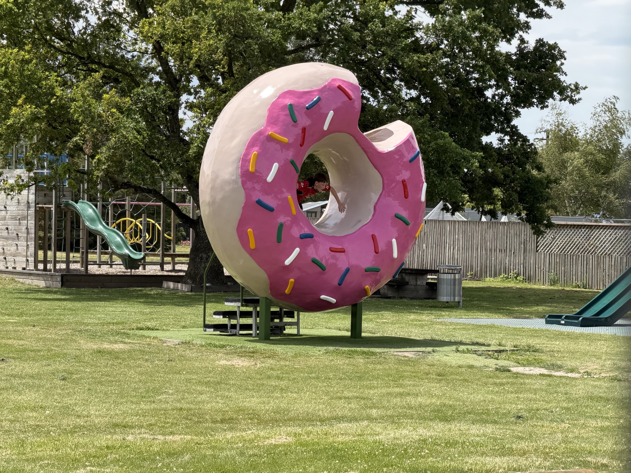 Springfield doughnut