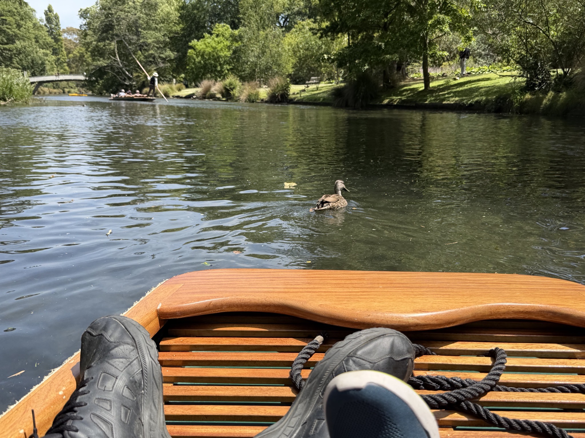 Punting on the Avon