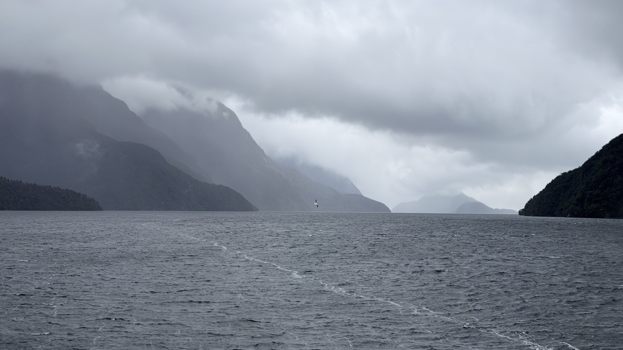 Doubtful Sound