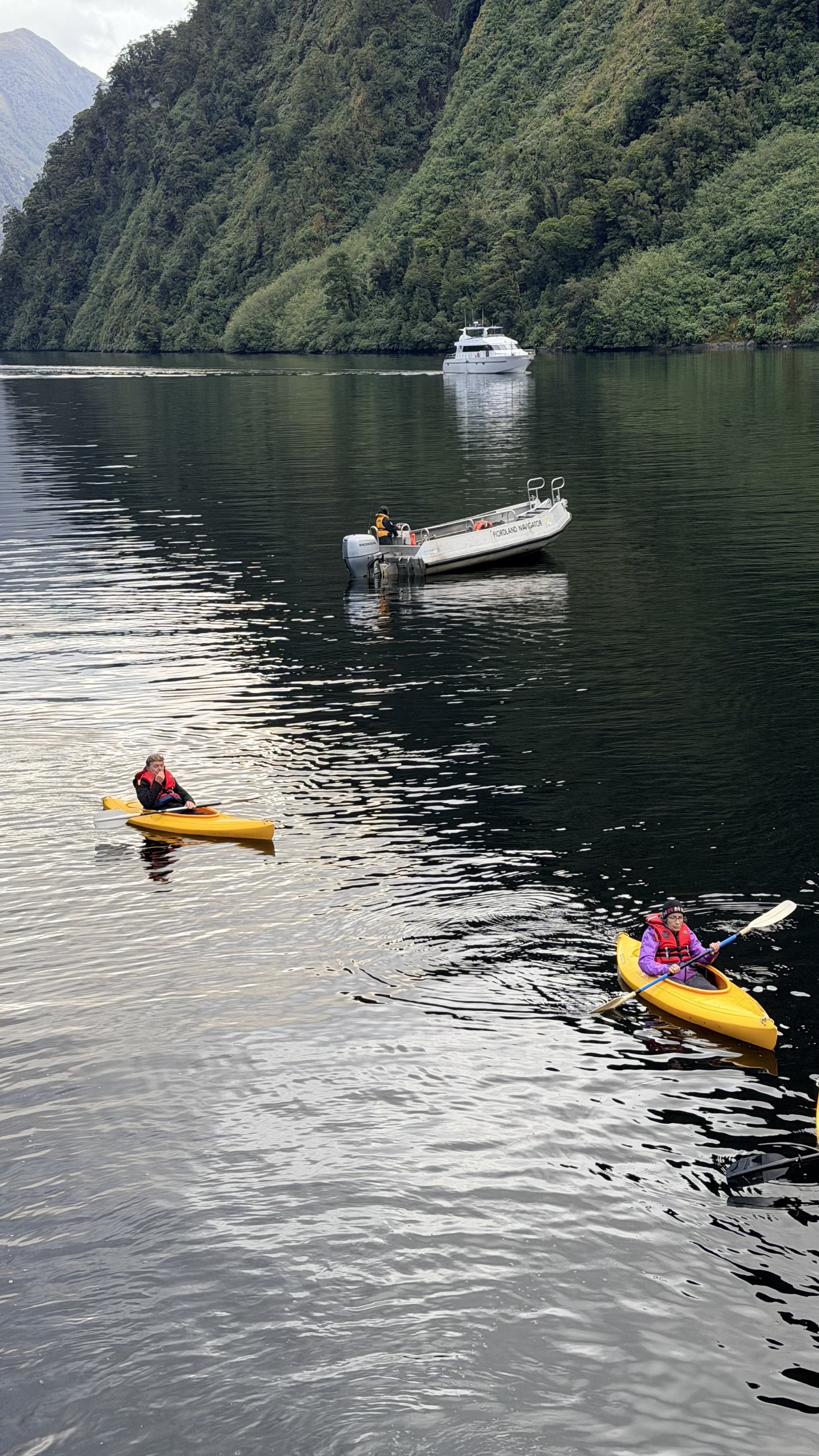 Kayaks