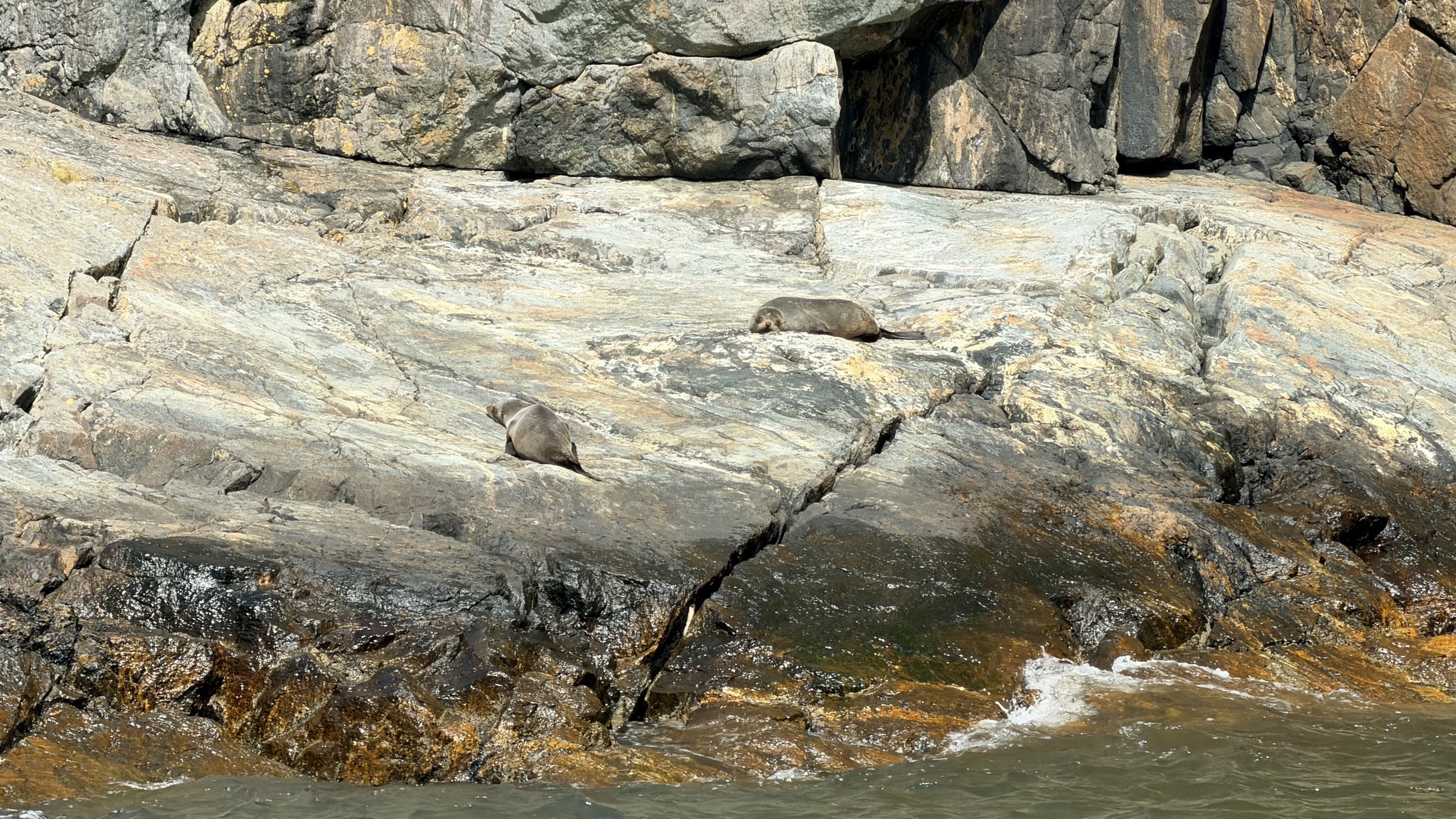 Seals