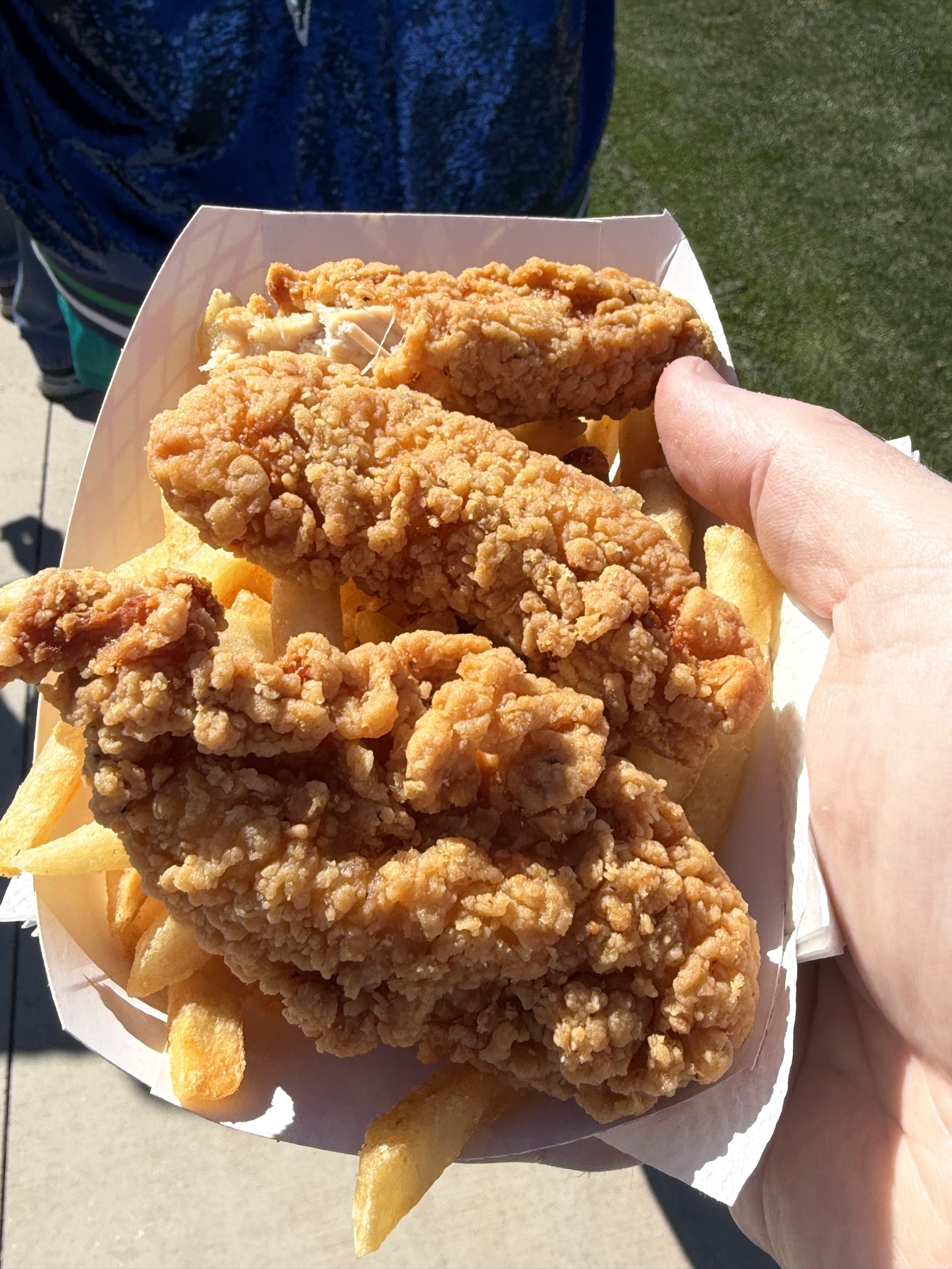 Chicken and fries