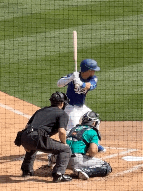 Baseball