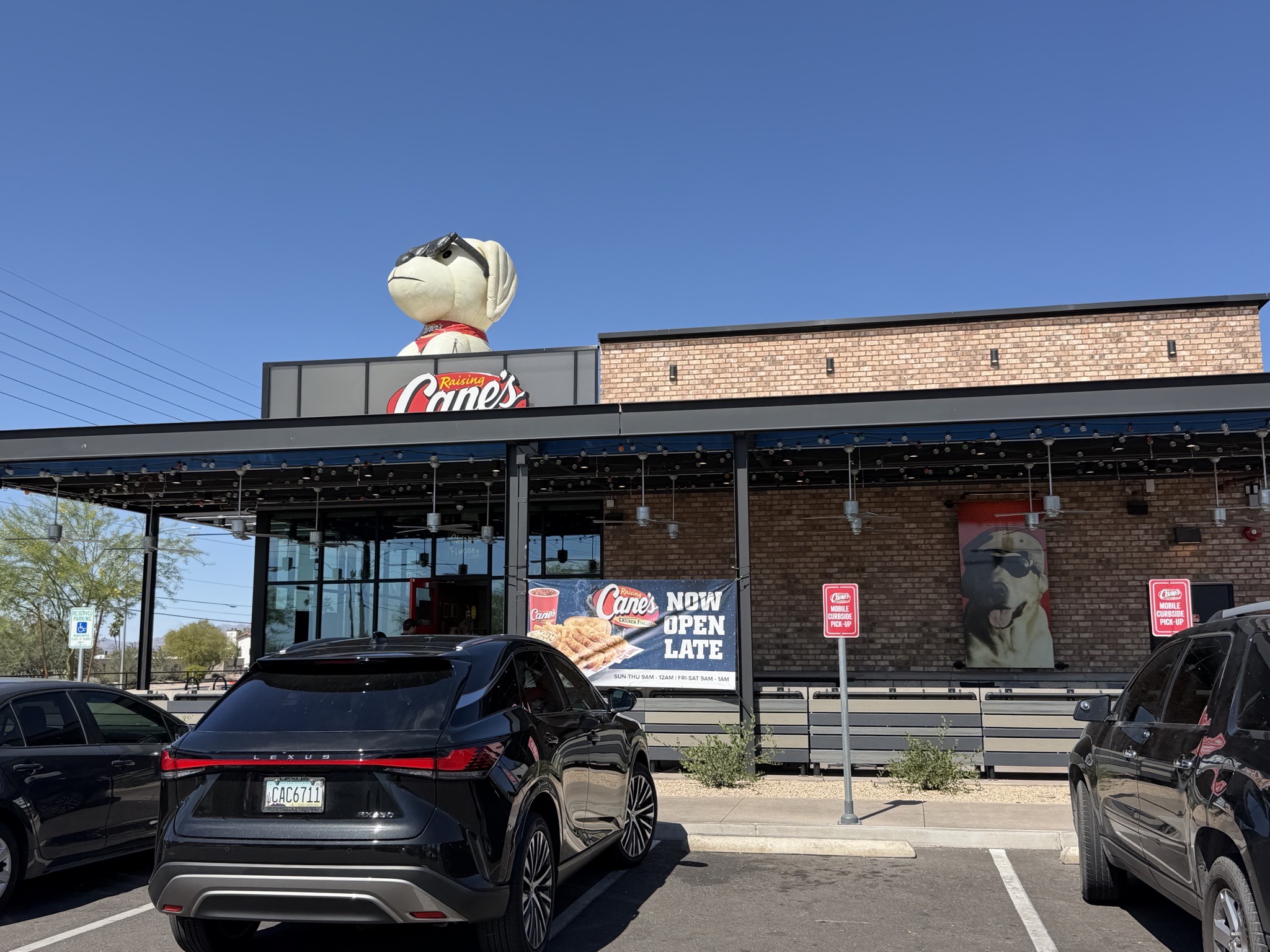 Raising Cane's Chicken Fingers