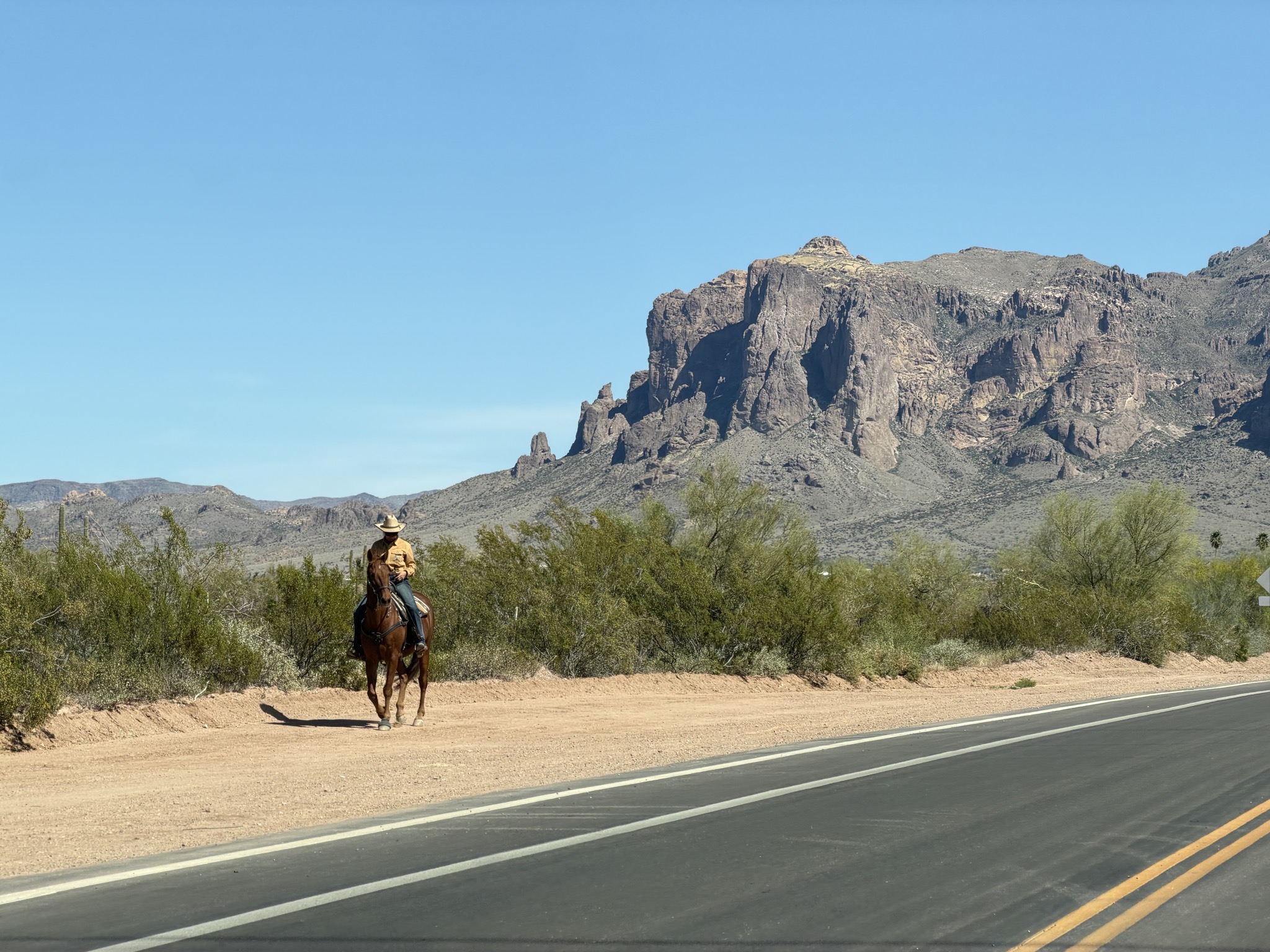 Cowboy in front of Superstition Mountains