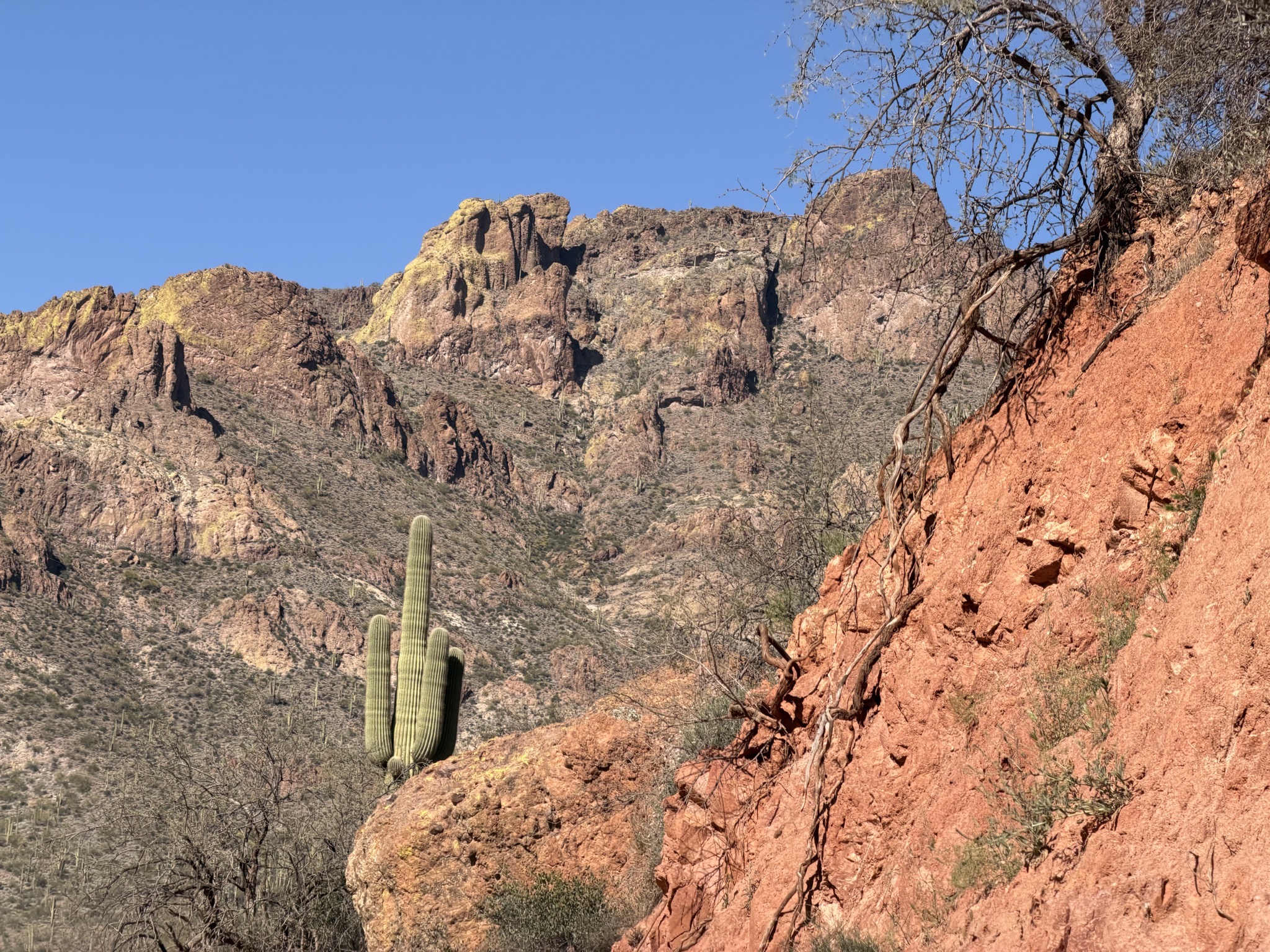 Apache Trail