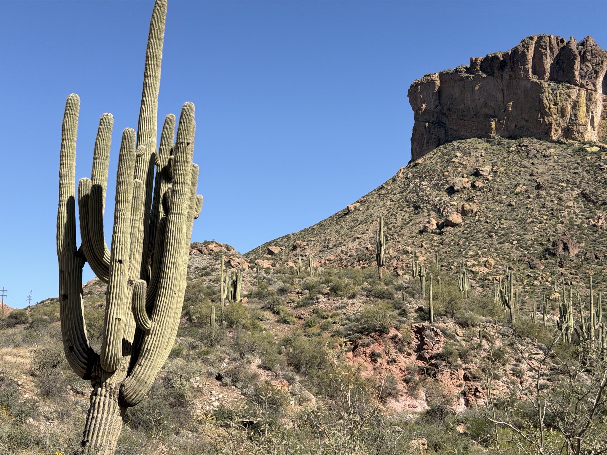 Apache Trail