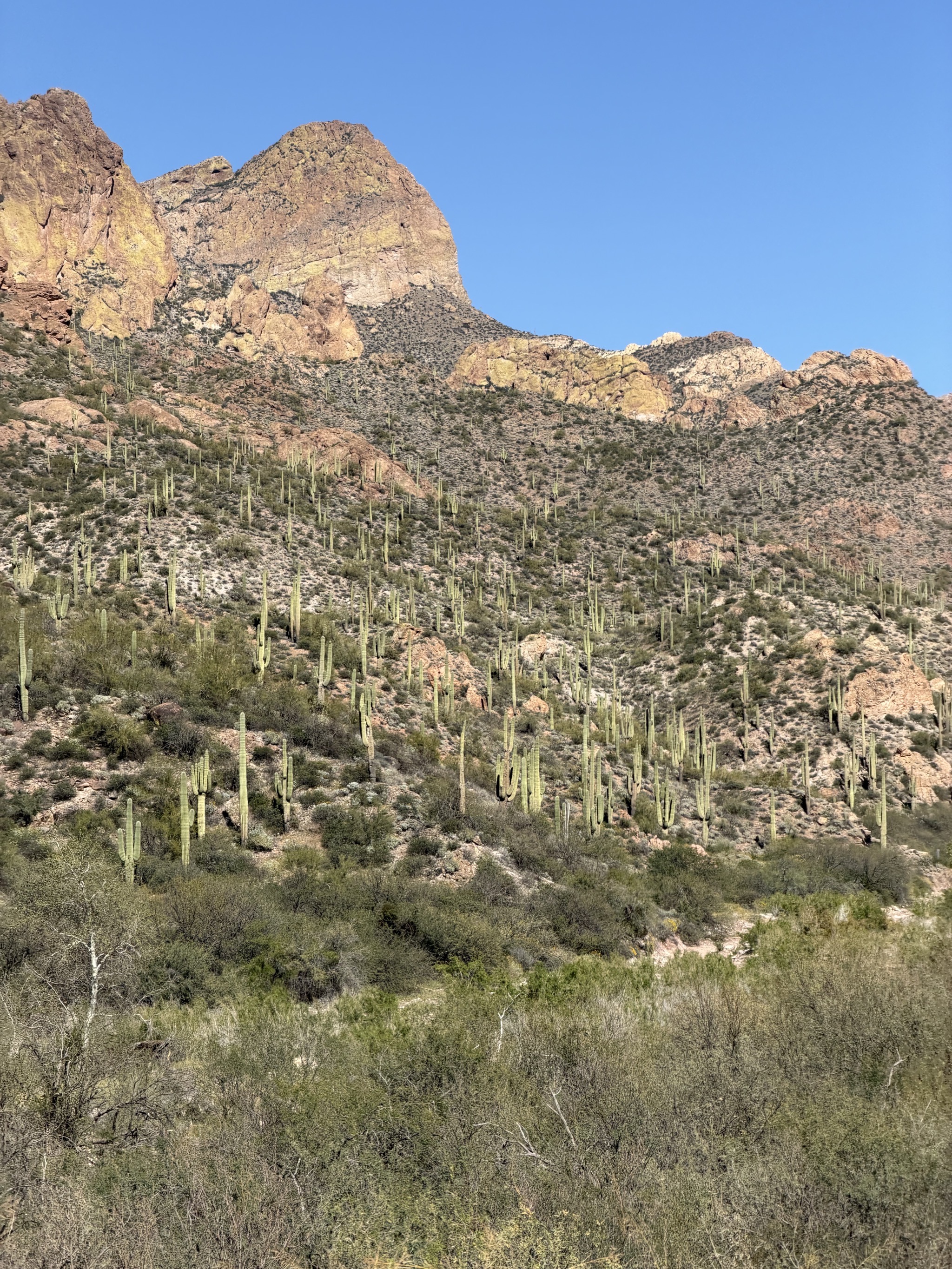 Apache Trail