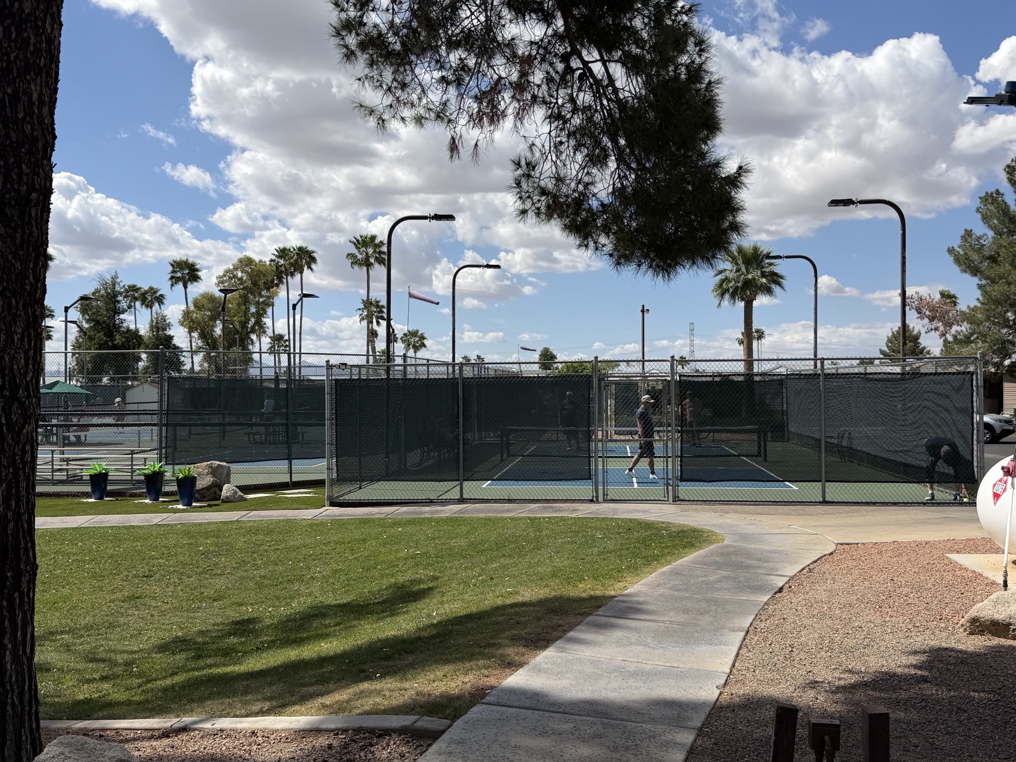 Pickleball