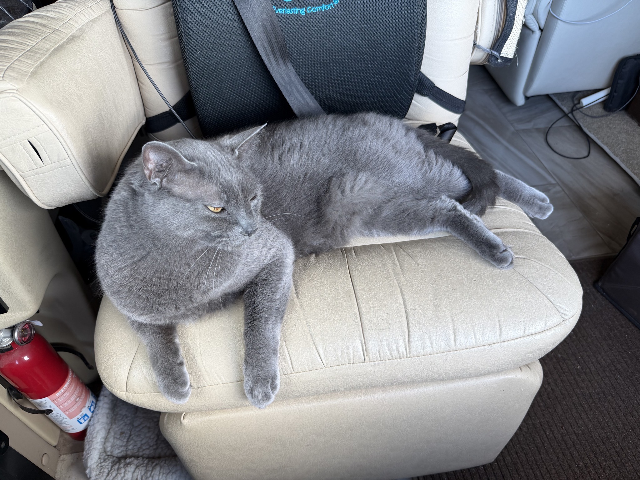 Paladin keeping the seat warm