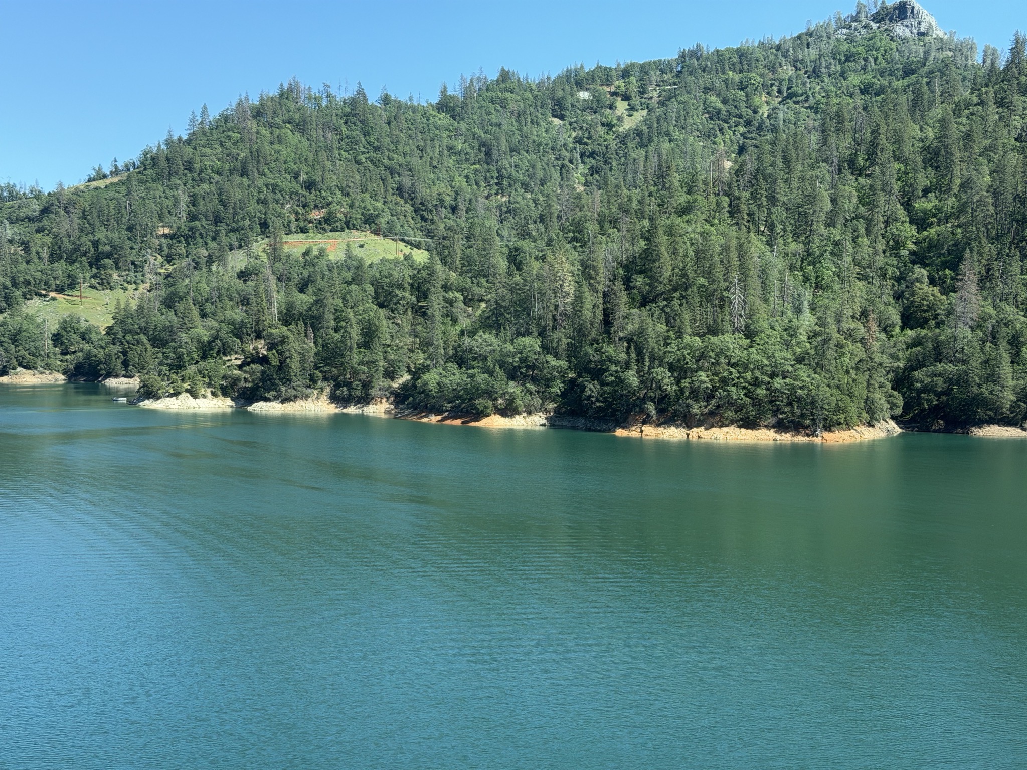 Shasta Lake