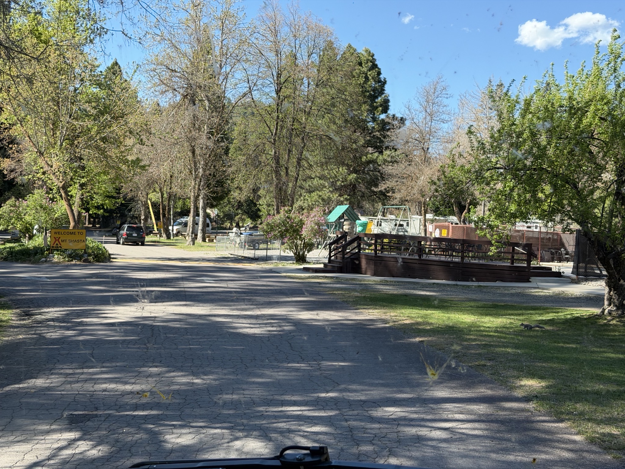 Mount Shasta KOA