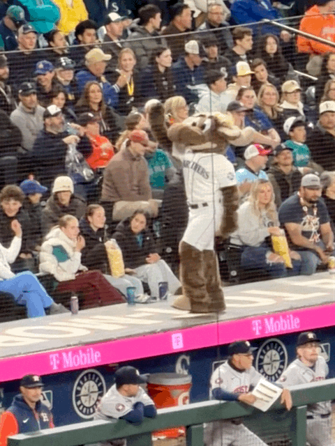 Moose