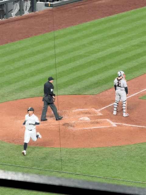 Baseball