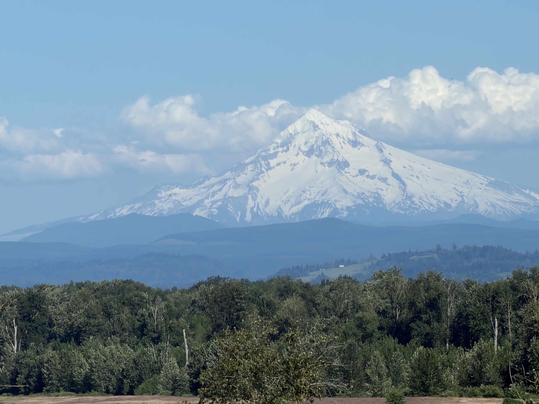 Mount Hood