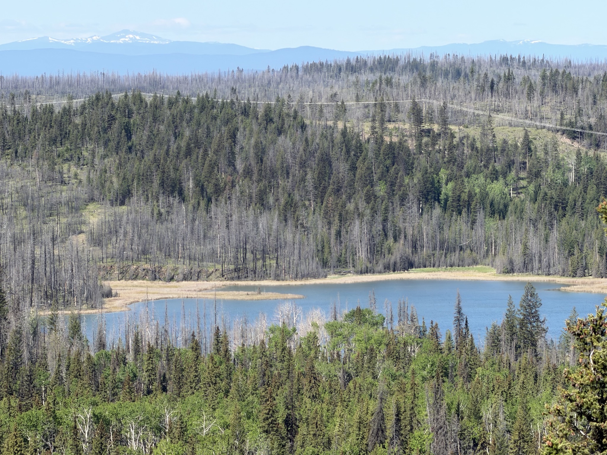 Lake view