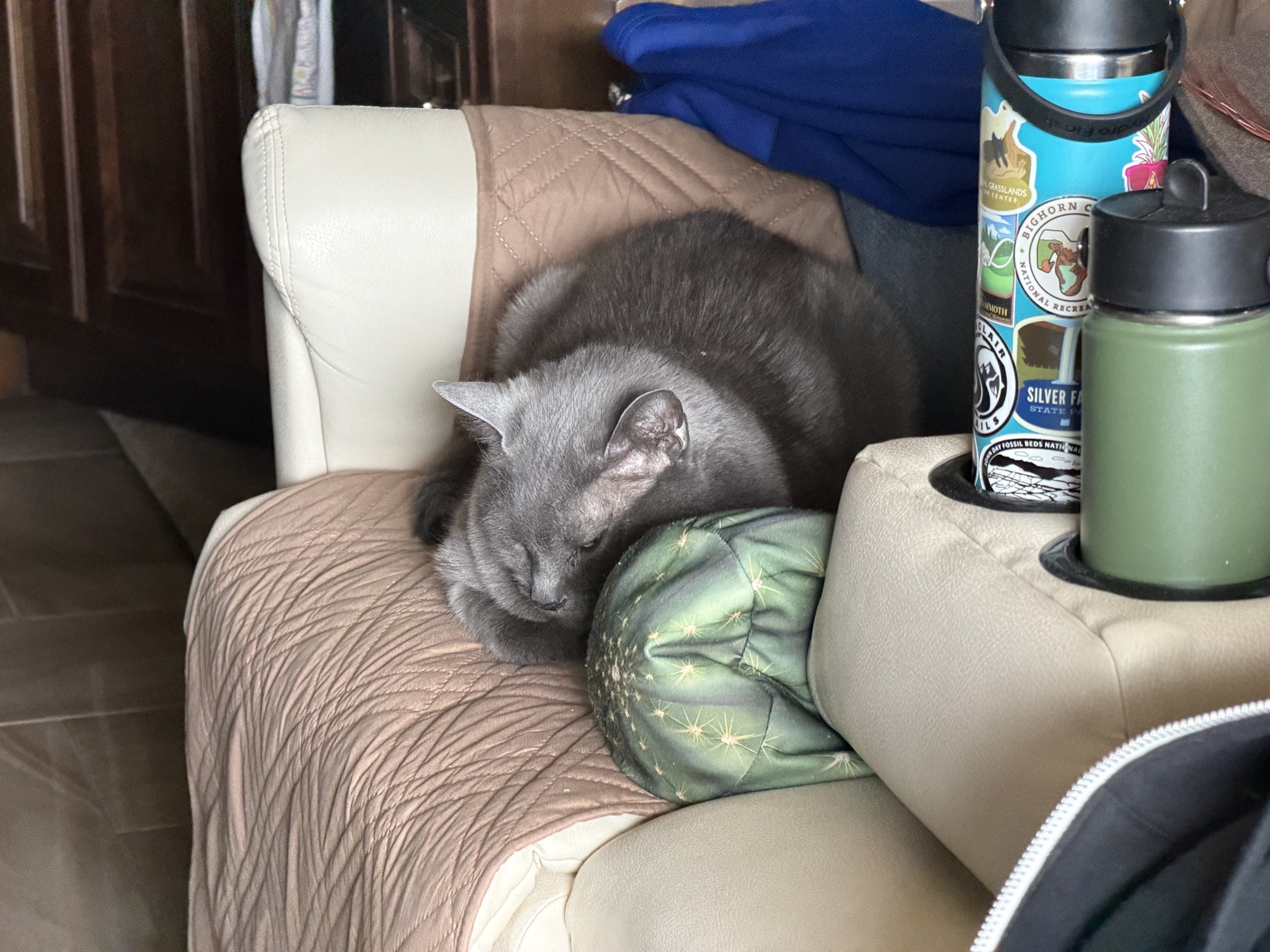 Paladin sitting on the couch