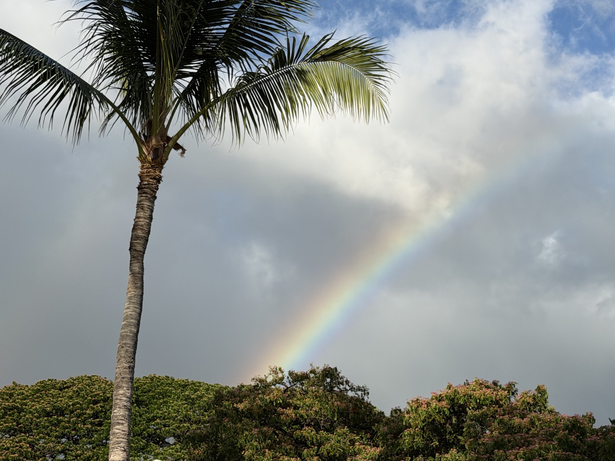 Rainbow at Whalers Village shops