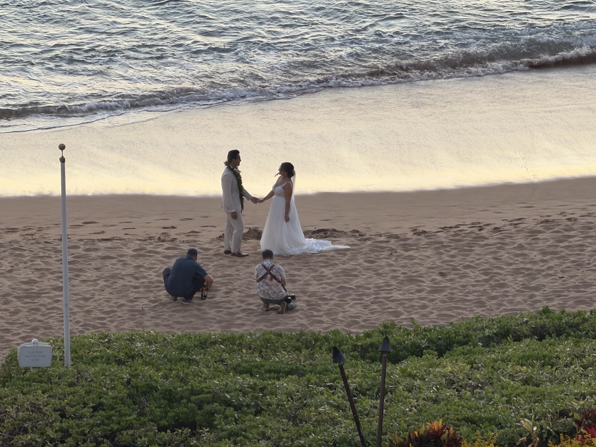 Wedding photos