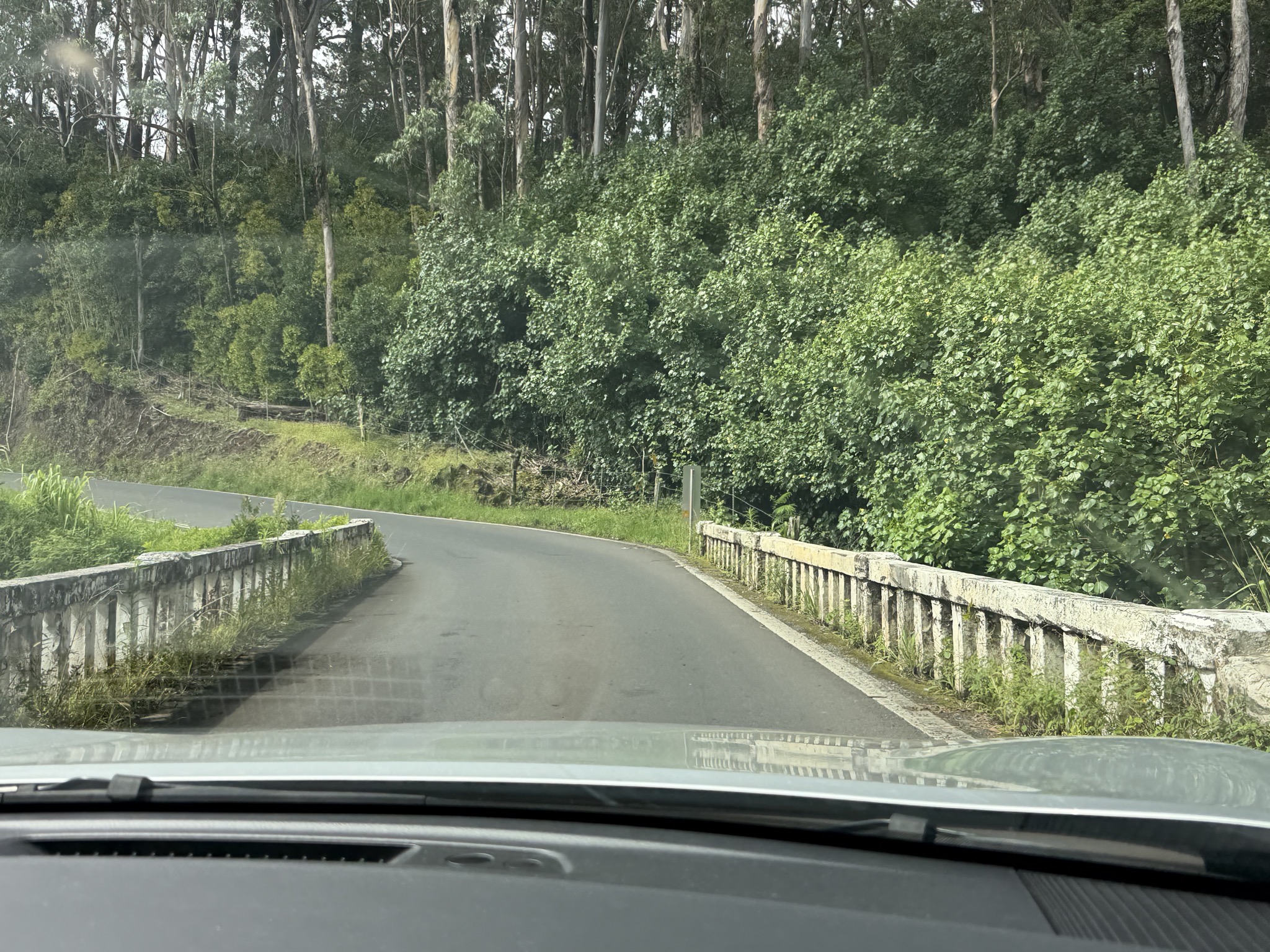 The road to Hana
