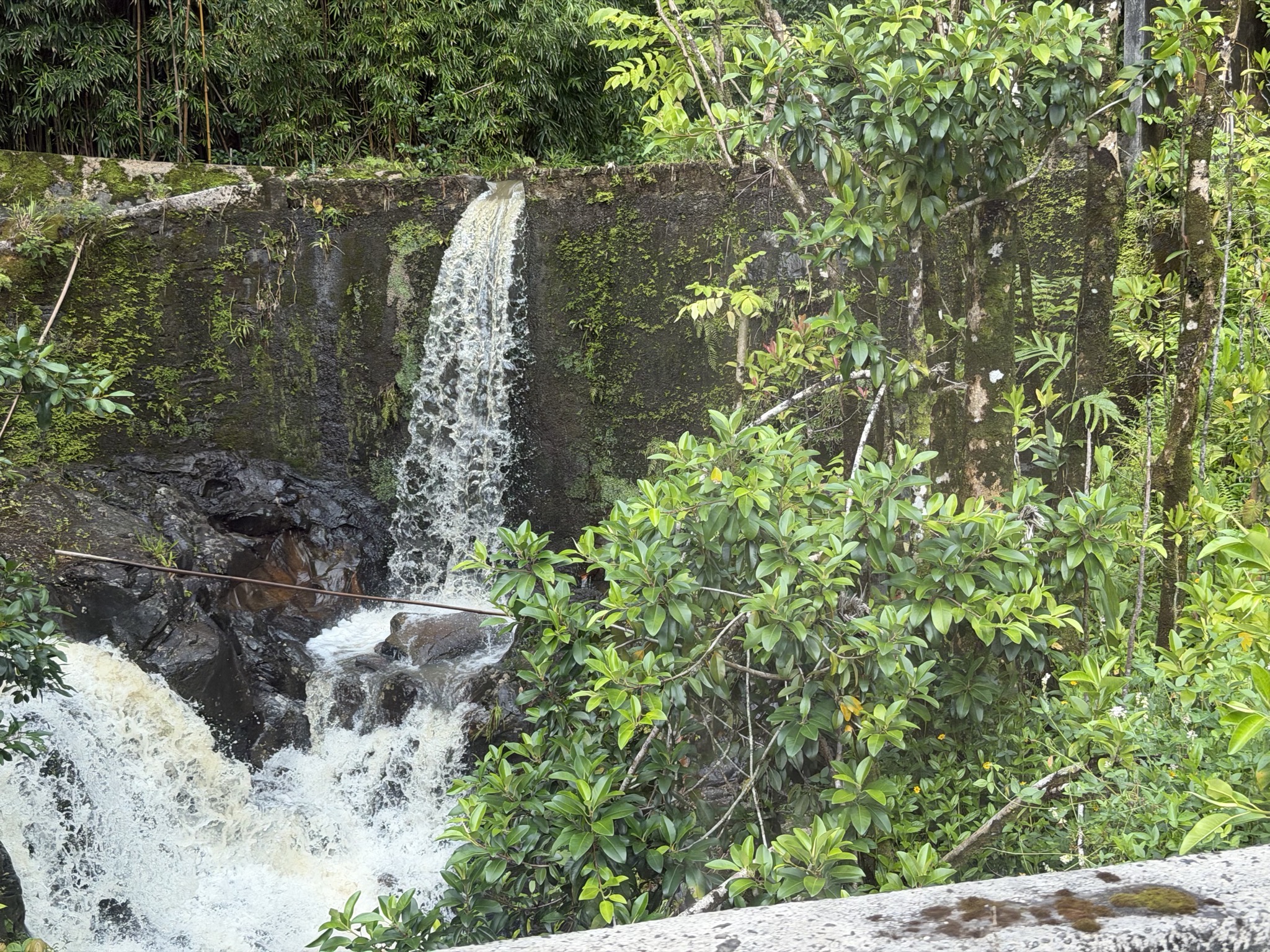 Waterfall