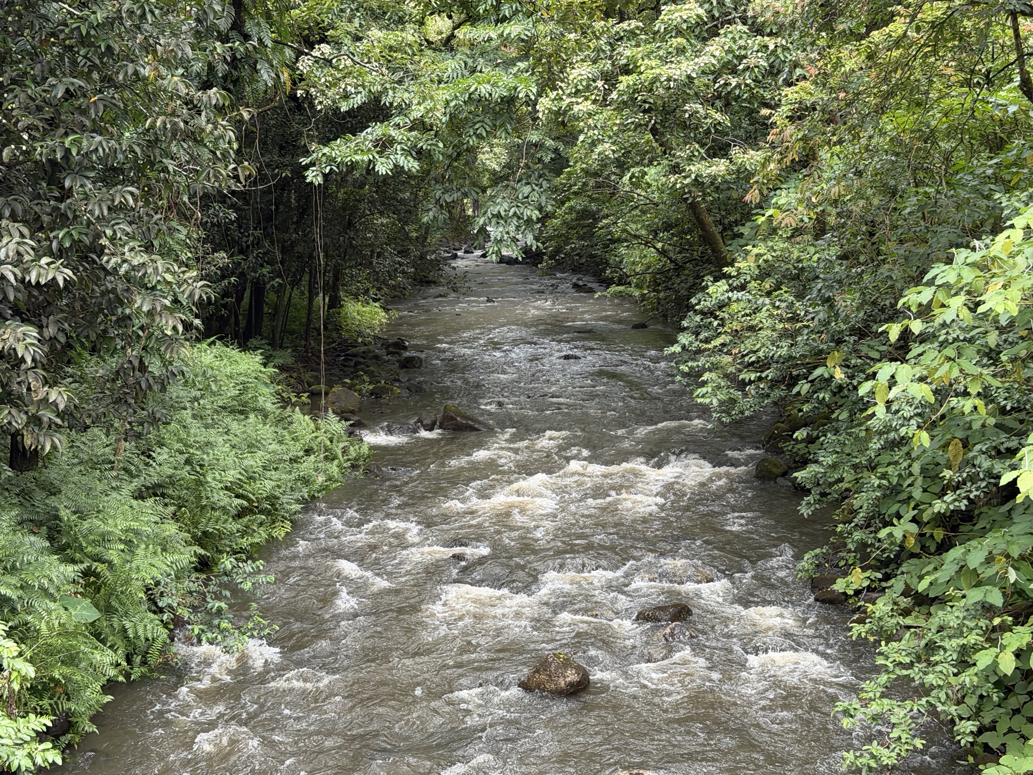 Creek
