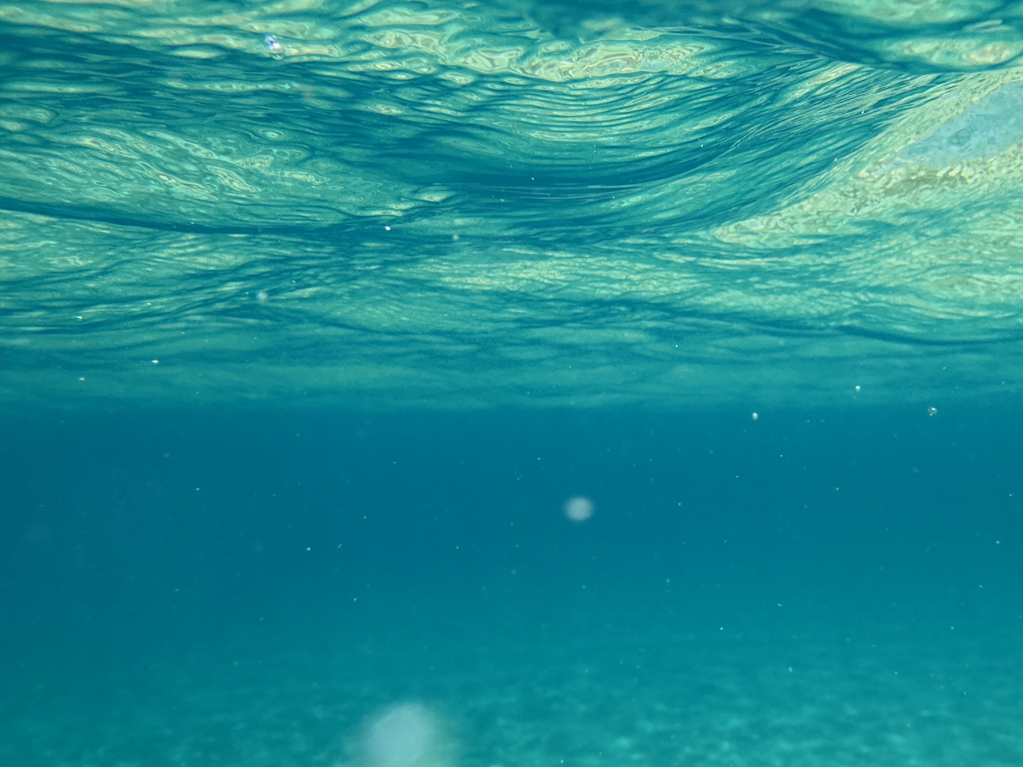 Swimming