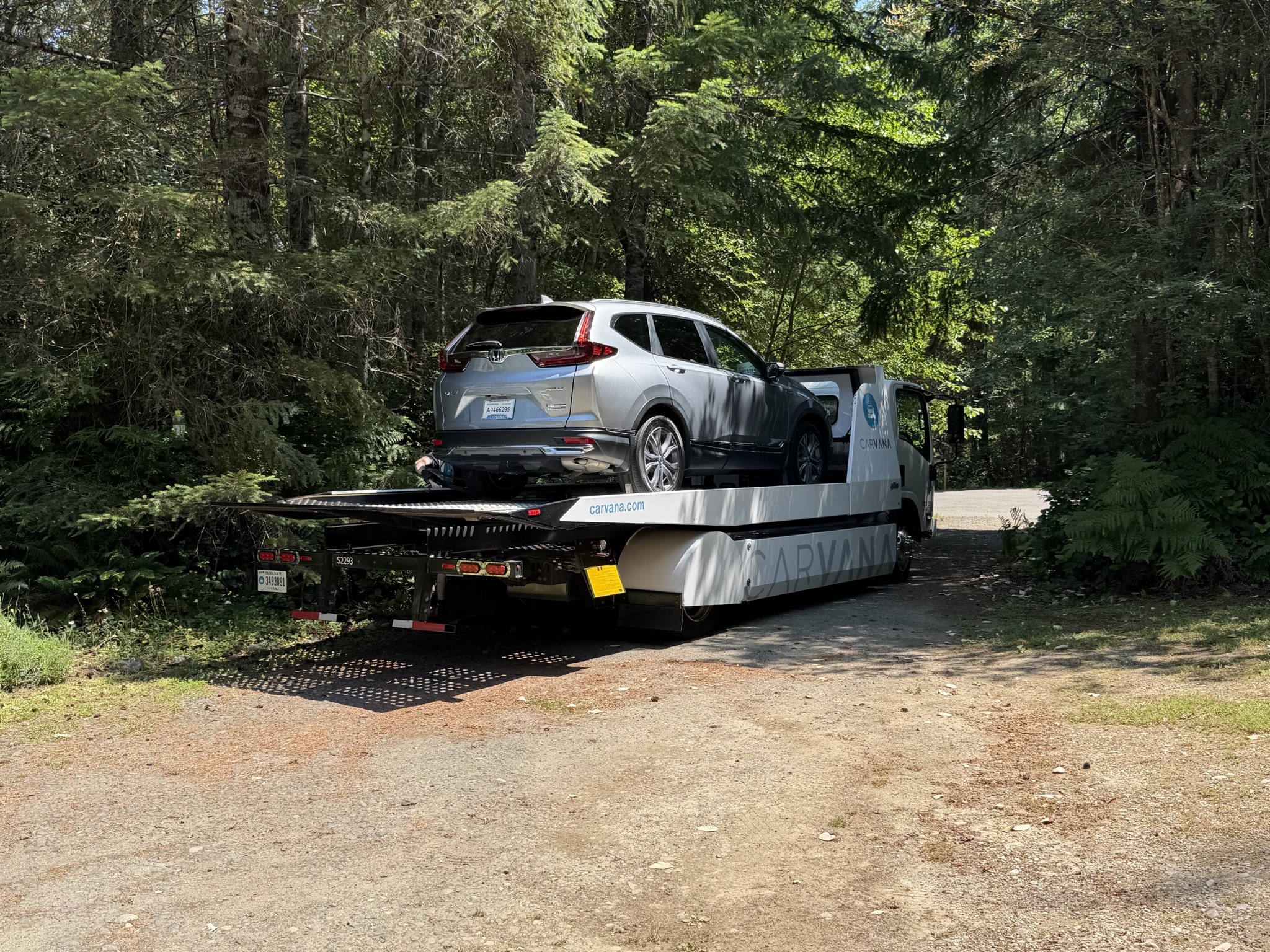 Delivery